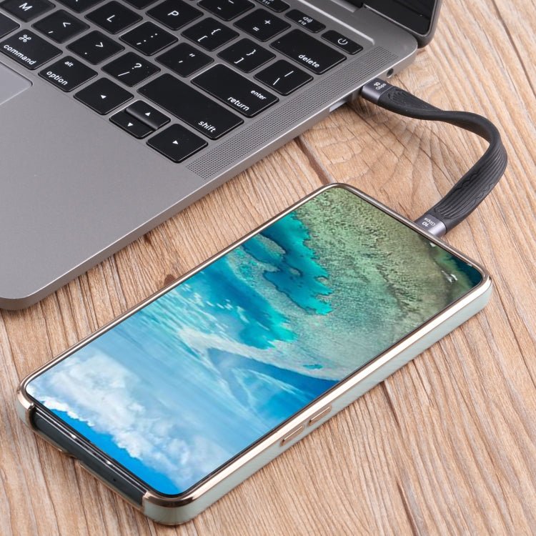 10Gbps Double USB - C / Type - C Soft Flat Data Transmission Fast Charging Cable, Double USB - C / Type - C - ORIWHIZ