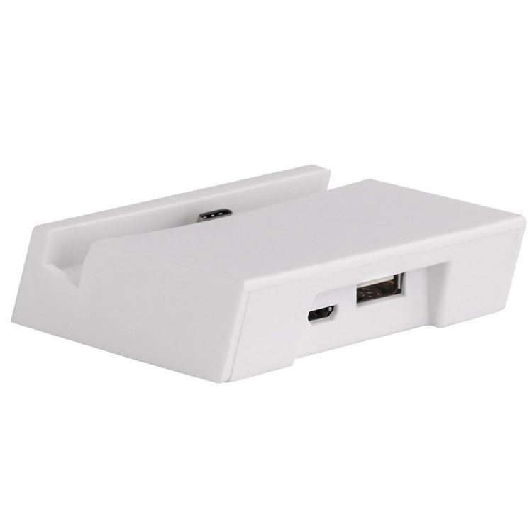 2 in 1 USB - C / Type - C 3.1 Sync Data / Charging Dock Charger - ORIWHIZ
