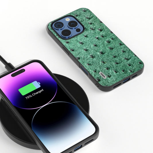 ABEEL Genuine Leather Ostrich Texture Phone Case