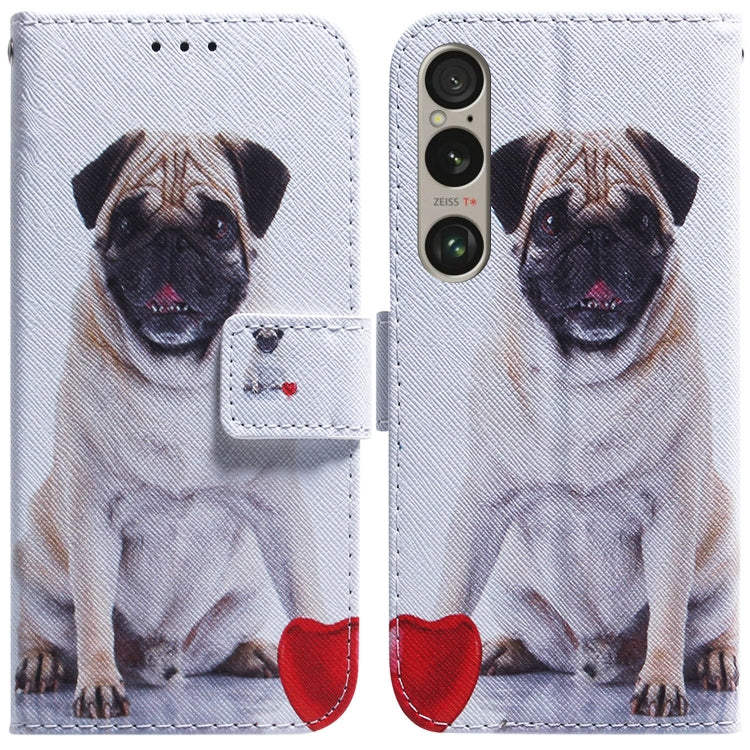 Coloured Drawing Flip Leather Phone Case