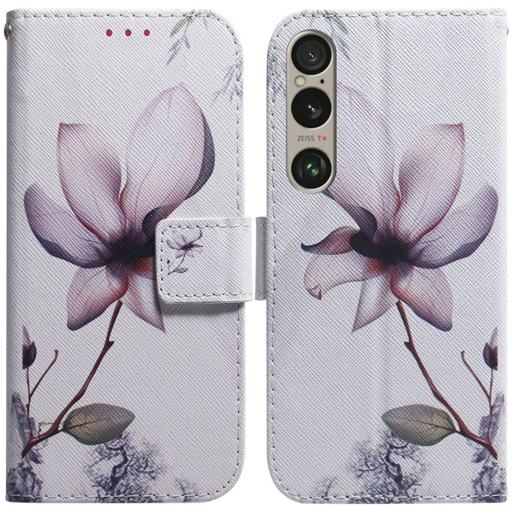 Coloured Drawing Flip Leather Phone Case