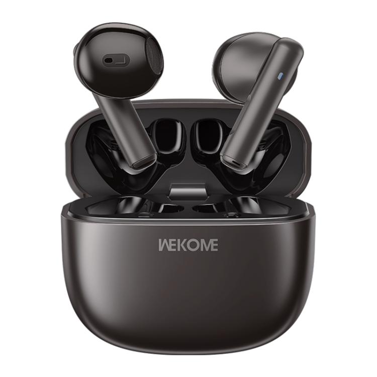 WK WS-19 Kinvoice Series Metal TWS Wireless Earbuds, WS-19