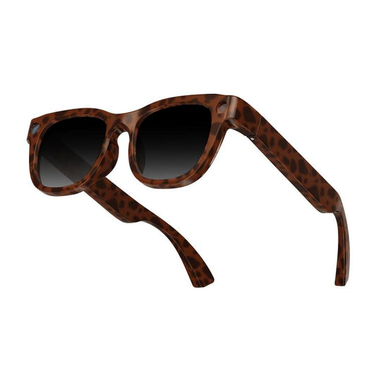 Lunettes intelligentes IA E06D 13MP 1080P 30FPS à double micro avec réduction de bruit et fonctions vocales/d'appel