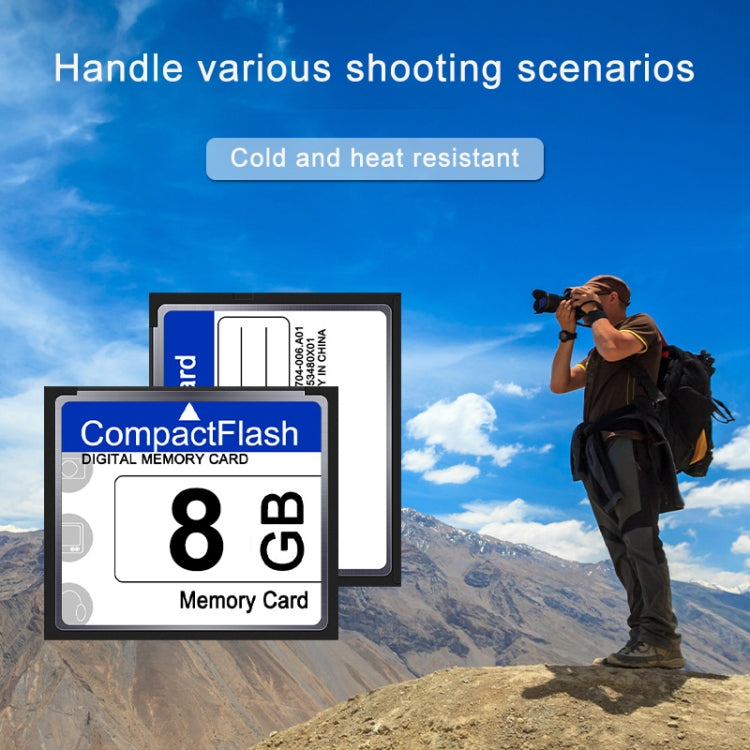 8GB Compact Flash Card, 8GB