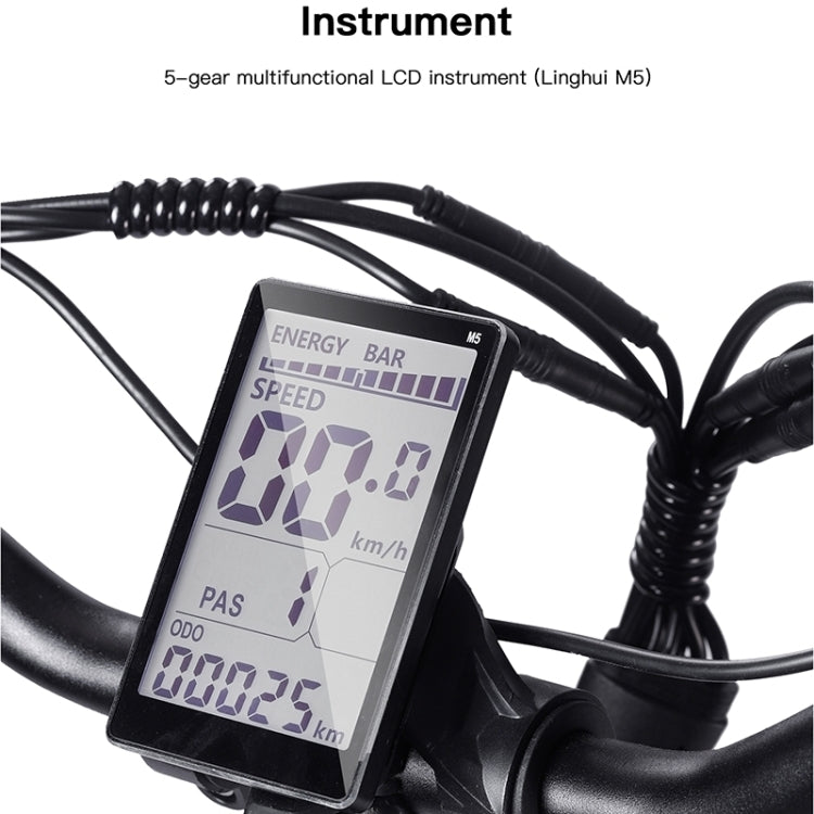 BEZIOR XF001 1000W 48V 12.5AH Retro Electric Bicycle with LCD Digital Display & 20 inch Tires, UK Plug, XF001 EU Plug (Black)