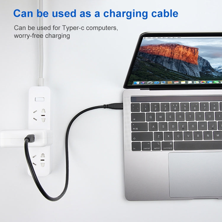 USB 3.1 Type-C / USB-C to Type-C / USB-C Gen2 Connection Cable, Length: 30cm, Length: 30cm