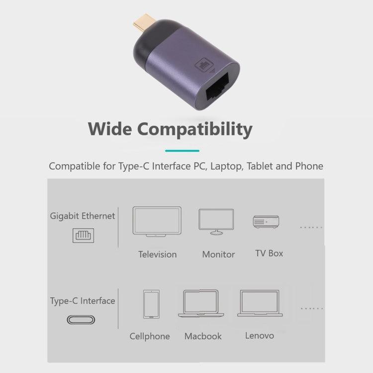 USB-C / Type-C Male to 100M RJ45 Female Adapter, 100M RJ45 Female Adapter