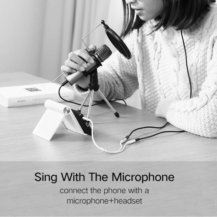 Ugreen 3.5mm Male to 2 x 3.5mm Female Audio Connector Adapter Cable 2 in 1 Microphone + Earphone Splitter Cable Converter, Silver