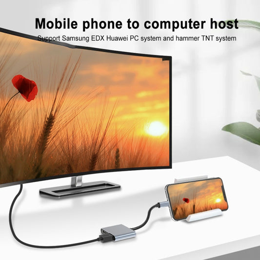 Station d'accueil HUB double HDMI USB-C / Type-C multifonction 2 en 1