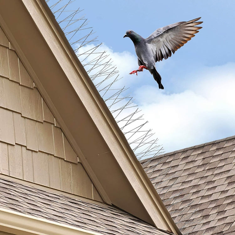 Stainless Steel Bird Repellent Thorn Anti-cat Thorn Bird Device