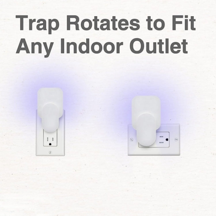 Plug-In Refillable Fly Trap For Flies, Moths, Gnats, And Other Flying Insects With 2 Glue Cards