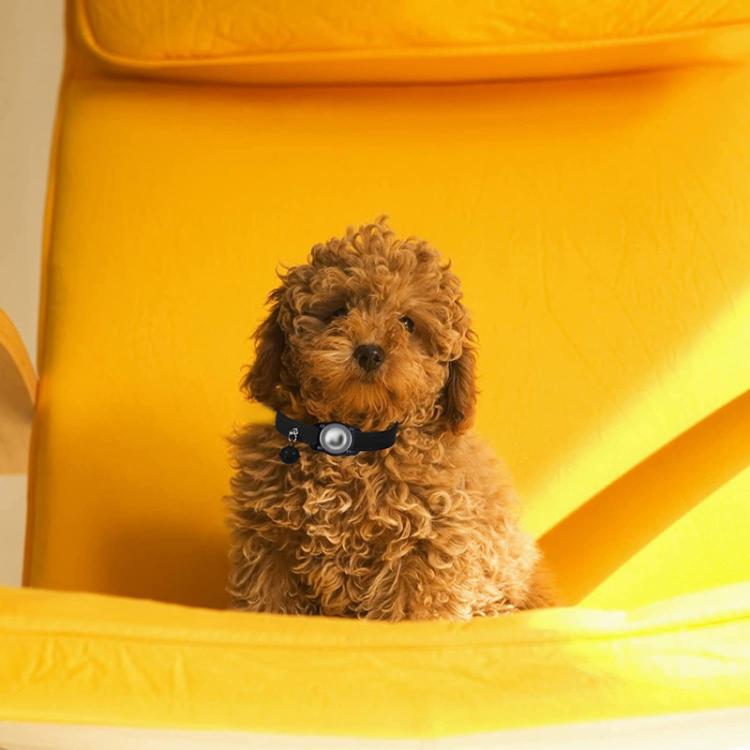 For AirTag Tracker Waterproof Protection Case Pet Leather Collar Anti Lost Cat Locator Collar