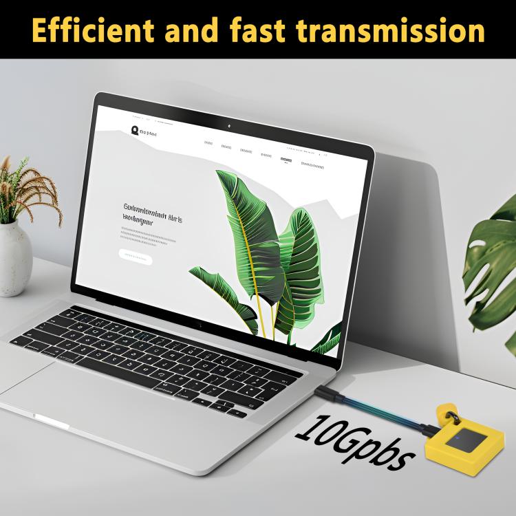 M.2 2230 NVMe Solid State Drive Enclosure 10Gbps Portable External Enclosure, 500
