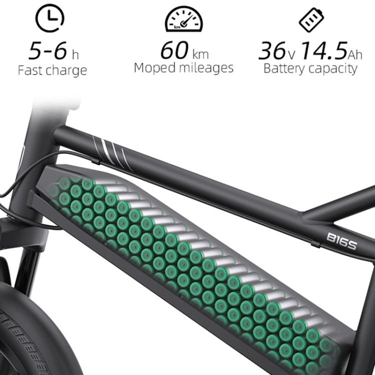 EU Warehouse Niubility B16S 14.5AH 350W Electric Bicycle with 16 inch Tires & LCD Display, EU Plug, B16S - ORIWHIZ