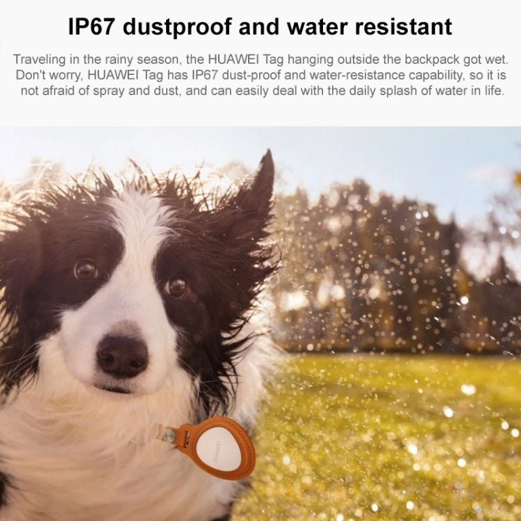 HUAWEI Tag Lightweight and Compact Anti - Lost Elf Pet Anti - Lost Tracker, HUAWEI Tag - ORIWHIZ