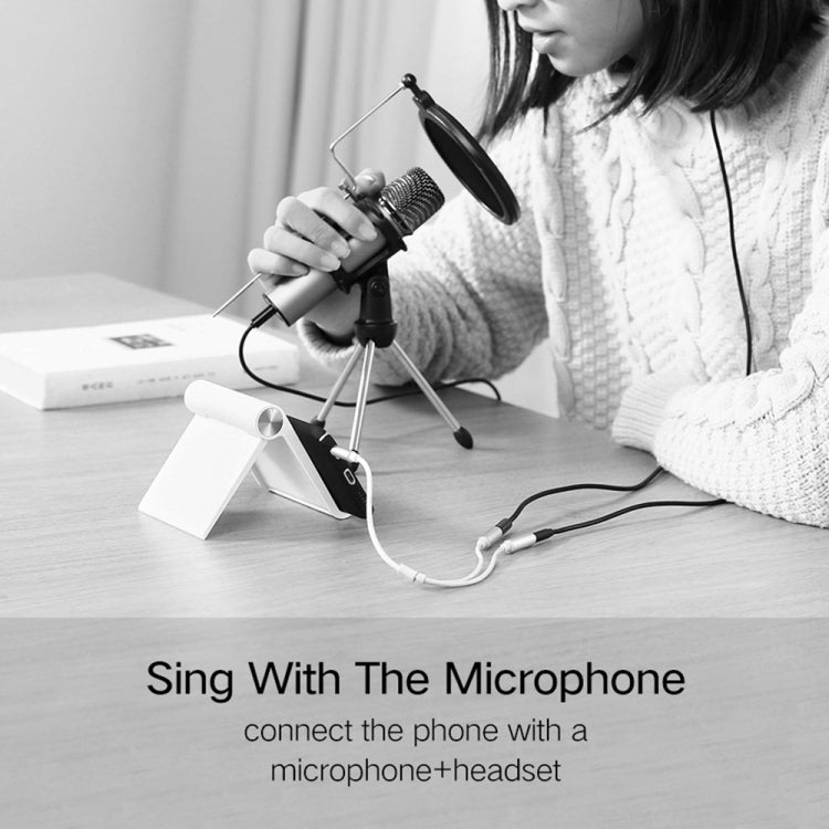 HY191 2 in 1 3.5mm Male to Microphone + Audio Female Braided Audio Cable, Length: 26cm, HY191 - ORIWHIZ