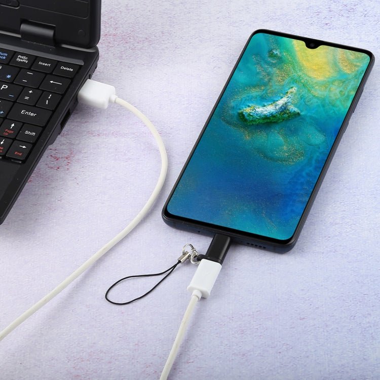 Mini Portable USB to Type - C & USB - C Converter Adapter with OTG - ORIWHIZ