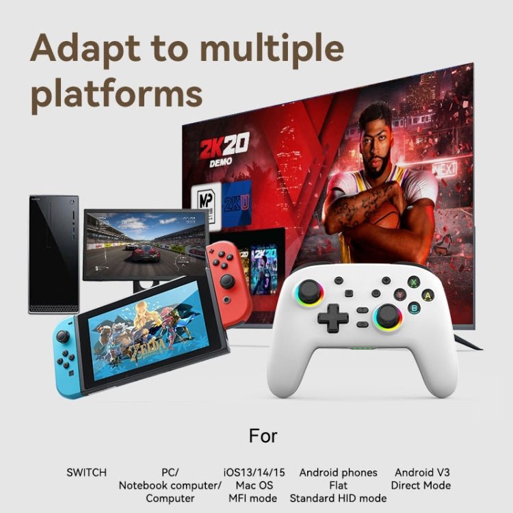 Wireless Bluetooth Somatosensory Vibration Gamepad for Nintendo Switch/Switch PRO, Black Gold, White Green, Black, White - ORIWHIZNintendo AccessoriesNintendo Accessories GamepadsToys & Hobbies