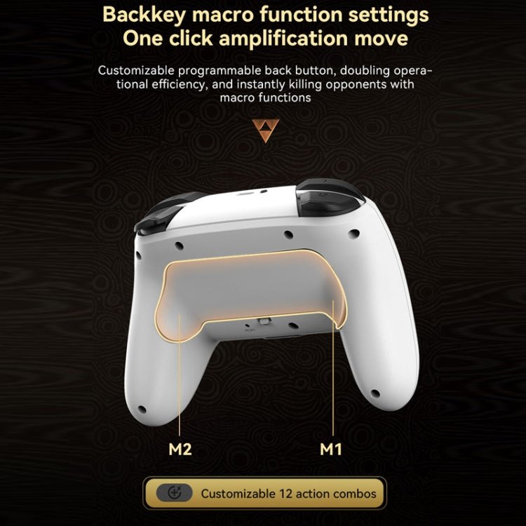 Wireless Bluetooth Somatosensory Vibration Gamepad For Nintendo Switch/Switch PRO - ORIWHIZNintendo AccessoriesNintendo Accessories GamepadsToys & Hobbies