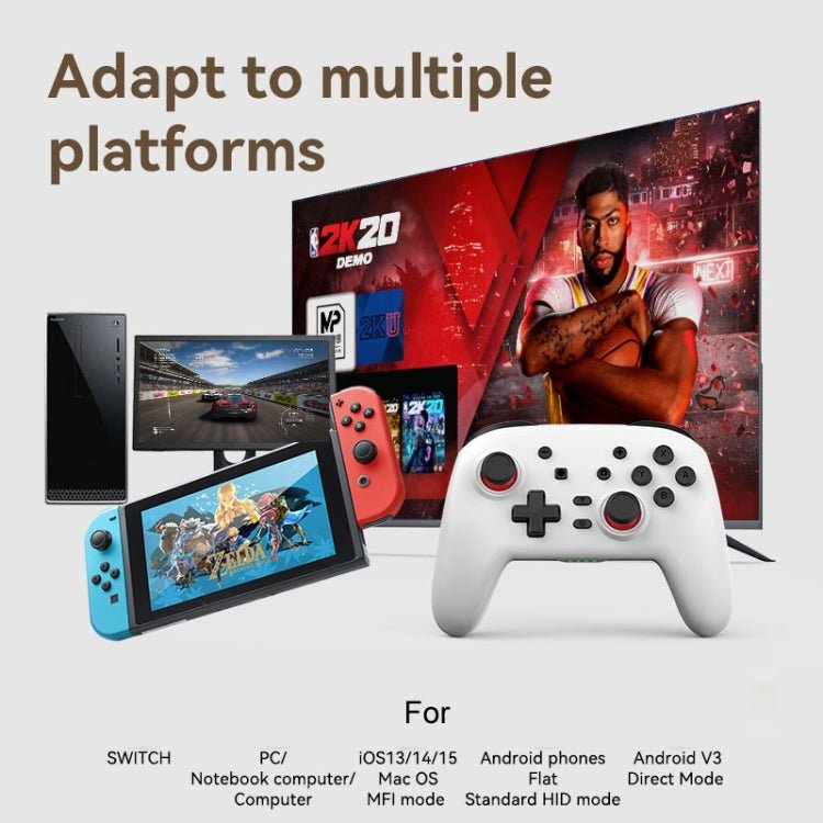 Wireless Bluetooth Somatosensory Vibration Gamepad For Nintendo Switch/Switch PRO - ORIWHIZNintendo AccessoriesNintendo Accessories GamepadsToys & Hobbies