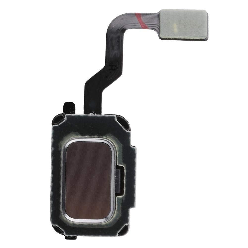 For Samsung Note 9 Home Flex - Oriwhiz Replace Parts