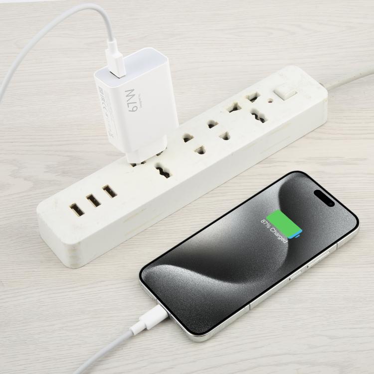 67W USB Fast Charger with 1m USB to Type - C Cable, 67W Type - C Cable - ORIWHIZ