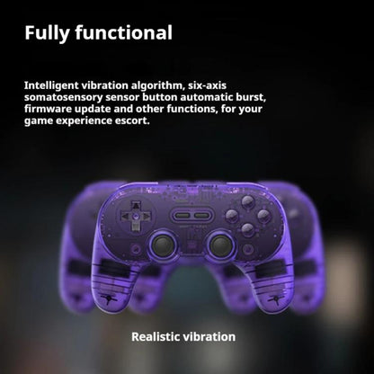 8BitDo Pro2 Retro Hall Edition Translucent Bluetooth With Back Button Multi - Platform Gamepad - ORIWHIZ8BitDoNintendo AccessoriesNintendo Accessories Gamepads