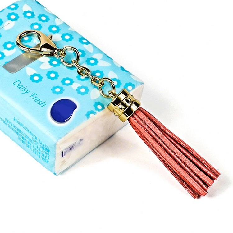 LS01 Porte-clés en alliage de zinc avec pompon, pendentif de sac de voiture