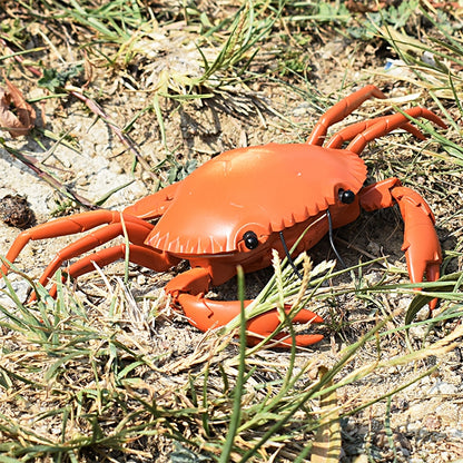 9995 Télécommande à capteur infrarouge, crabe simulé créatif, jouet électrique délicat pour enfants, crabe (jaune), crabe (vert)