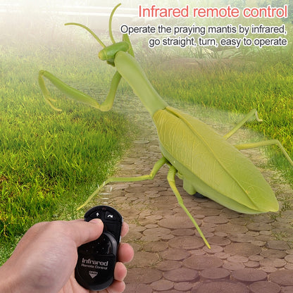 6661 Infrared Sensor Remote Control Simulated Praying Mantis Creative Children Electric Tricky Toy Model, Praying Mantis
