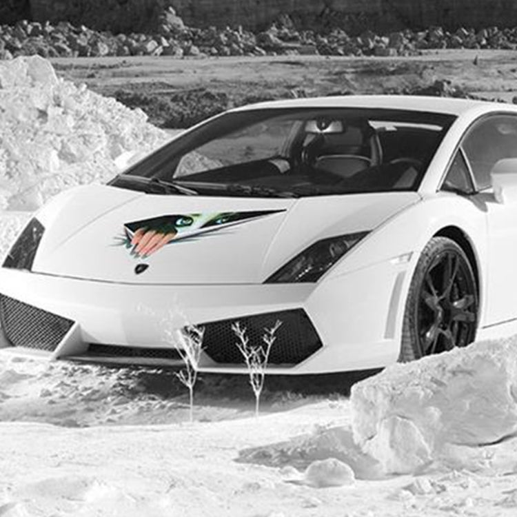 3D Characteristic Digital Simulation Horrible Style Car Paper Sticker, Exaggerated Effection 12, Exaggerated Effection 13, Exaggerated Effection 11
