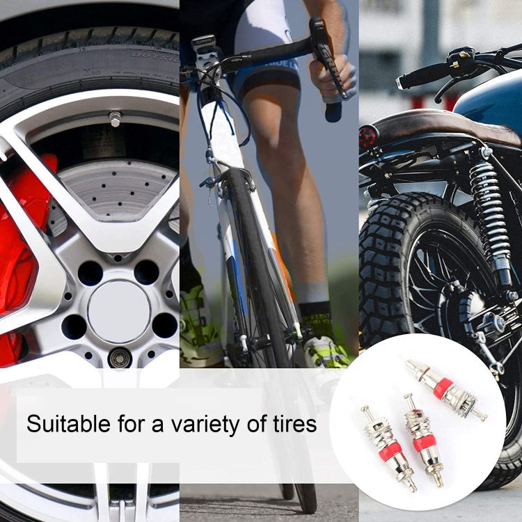 100 in 1 Car / Motorcycle Tire Valve Core Repair Kit, 100 in 1