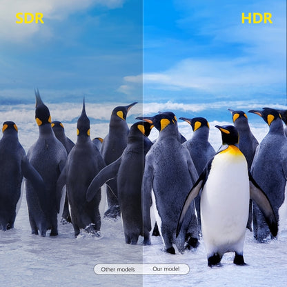 TANIX X96Q Max 4K Smart TV BOX Android 10 Media Player with Remote Control, Quad Core Allwinner H616, RAM: 4GB, ROM: 64GB, 2.4GHz/5GHz WiFi, EU Plug