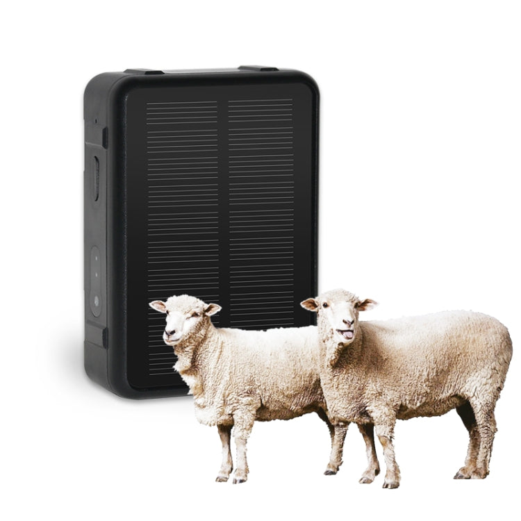 Traqueur GPS V44 étanche à énergie solaire pour bovins et ovins, Traqueur GPS V44