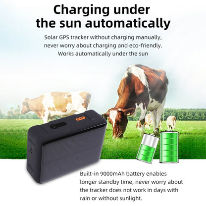 Traqueur GPS V44 étanche à énergie solaire pour bovins et ovins, Traqueur GPS V44