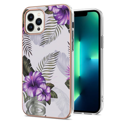 Electroplating Pattern IMD TPU Shockproof Case, For iPhone 16 Pro Max, For iPhone 16 Pro, For iPhone 16 Plus, For iPhone 16, For iPhone 15 Pro Max, For iPhone 15 Pro, For iPhone 15 Plus, For iPhone 15