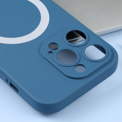 Liquid Silicone Magsafe Phone Case, For iPhone 16 Pro Max, For iPhone 16 Pro, For iPhone 16 Plus, For iPhone 16, For iPhone 15 Pro Max, For iPhone 15 Pro, For iPhone 15 Plus, For iPhone 15