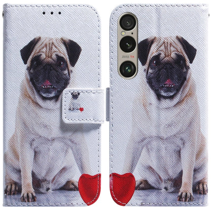 Coloured Drawing Flip Leather Phone Case
