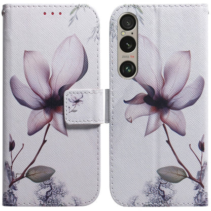 Coloured Drawing Flip Leather Phone Case
