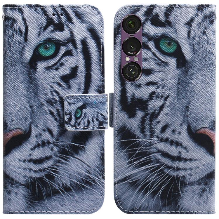 Coloured Drawing Flip Leather Phone Case