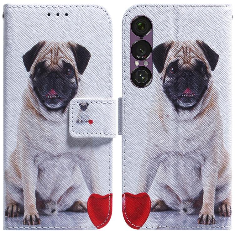 Coloured Drawing Flip Leather Phone Case