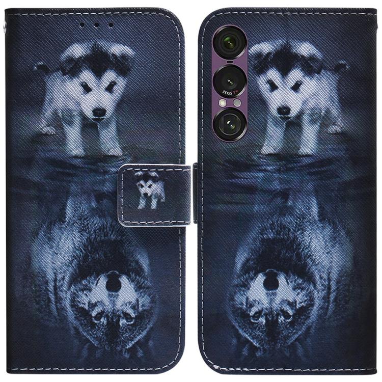 Coloured Drawing Flip Leather Phone Case