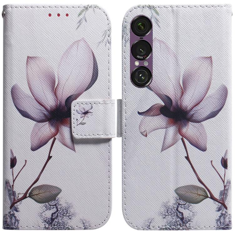 Coloured Drawing Flip Leather Phone Case