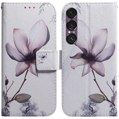 Coloured Drawing Flip Leather Phone Case