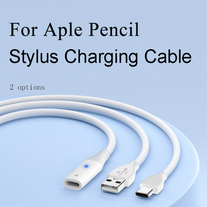 For Apple Pencil 1 USB-C / Type-C to 8 Pin Stylus Charging Cable with Indicator Light, 0.5m, 1m