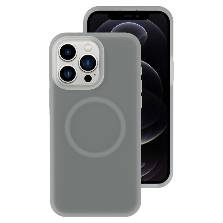 Jelly Liquid Silicone MagSafe Magnetic Phone Case, For iPhone 12 Pro, For iPhone 11 Pro Max, For iPhone 11, For iPhone 11 Pro