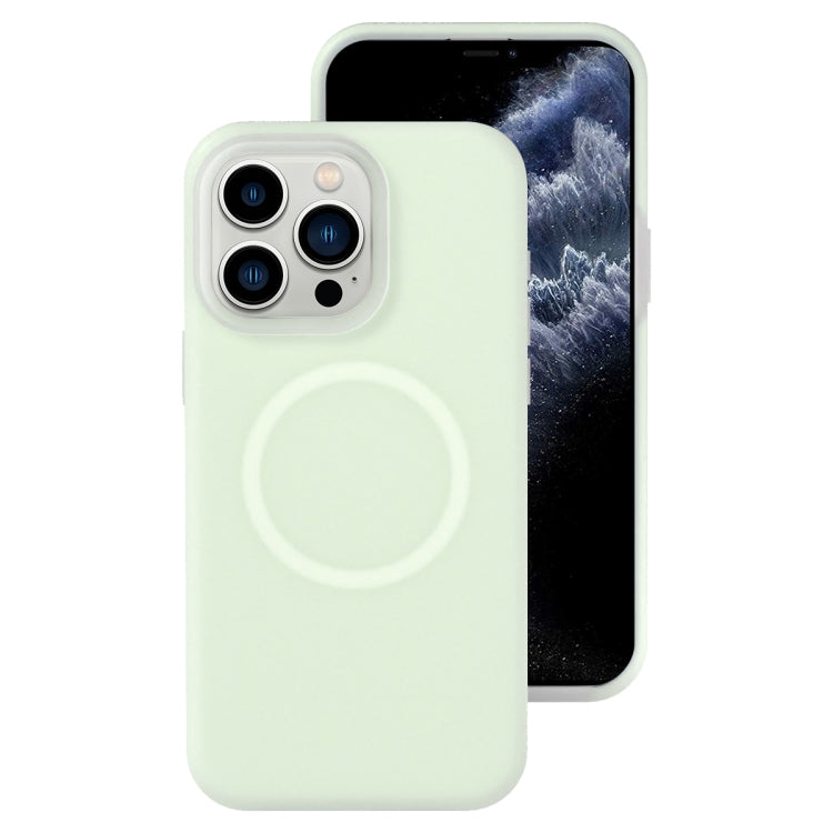 Jelly Liquid Silicone MagSafe Magnetic Phone Case, For iPhone 12 Pro, For iPhone 11 Pro Max, For iPhone 11, For iPhone 11 Pro
