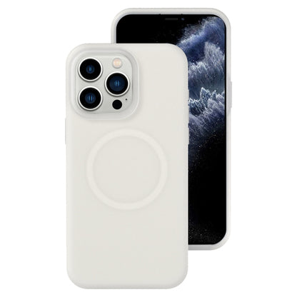 Jelly Liquid Silicone MagSafe Magnetic Phone Case, For iPhone 12 Pro, For iPhone 11 Pro Max, For iPhone 11, For iPhone 11 Pro
