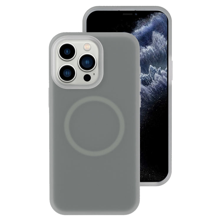 Jelly Liquid Silicone MagSafe Magnetic Phone Case, For iPhone 12 Pro, For iPhone 11 Pro Max, For iPhone 11, For iPhone 11 Pro