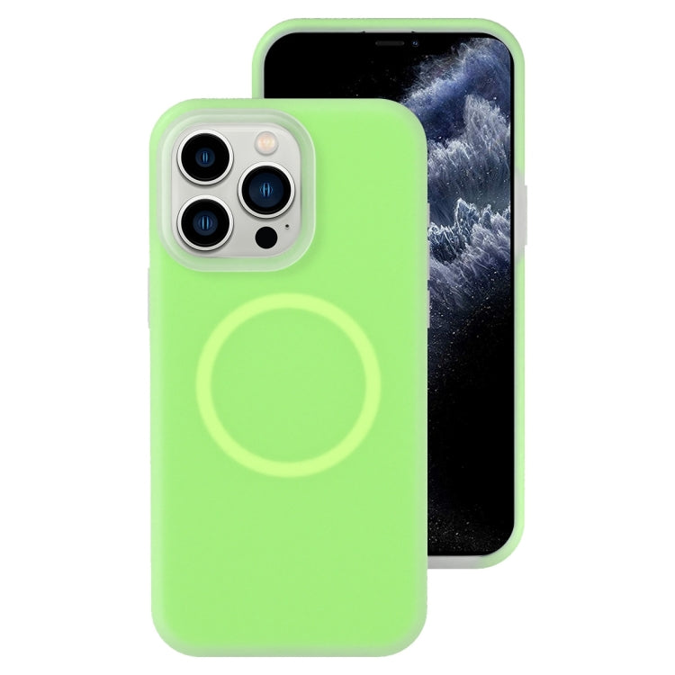 Jelly Liquid Silicone MagSafe Magnetic Phone Case, For iPhone 12 Pro, For iPhone 11 Pro Max, For iPhone 11, For iPhone 11 Pro